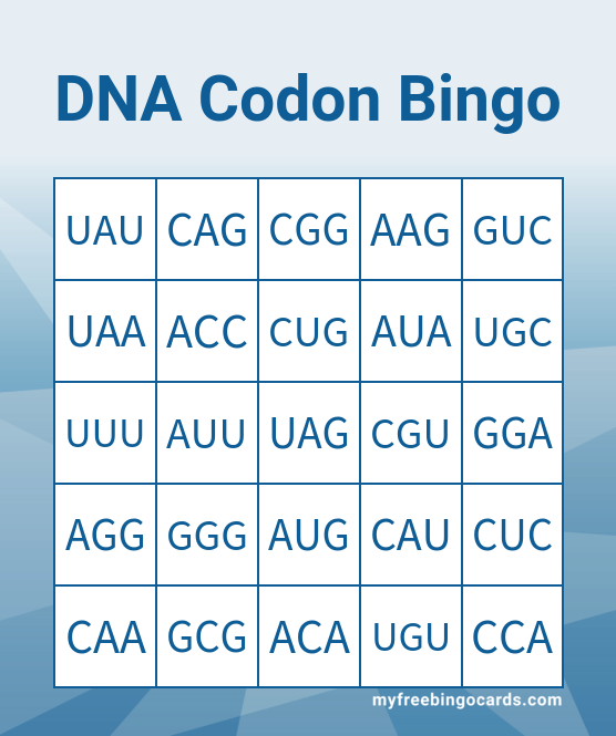 Free Bingo Cards Pdf Format
