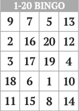 Bingo Numbers Chart