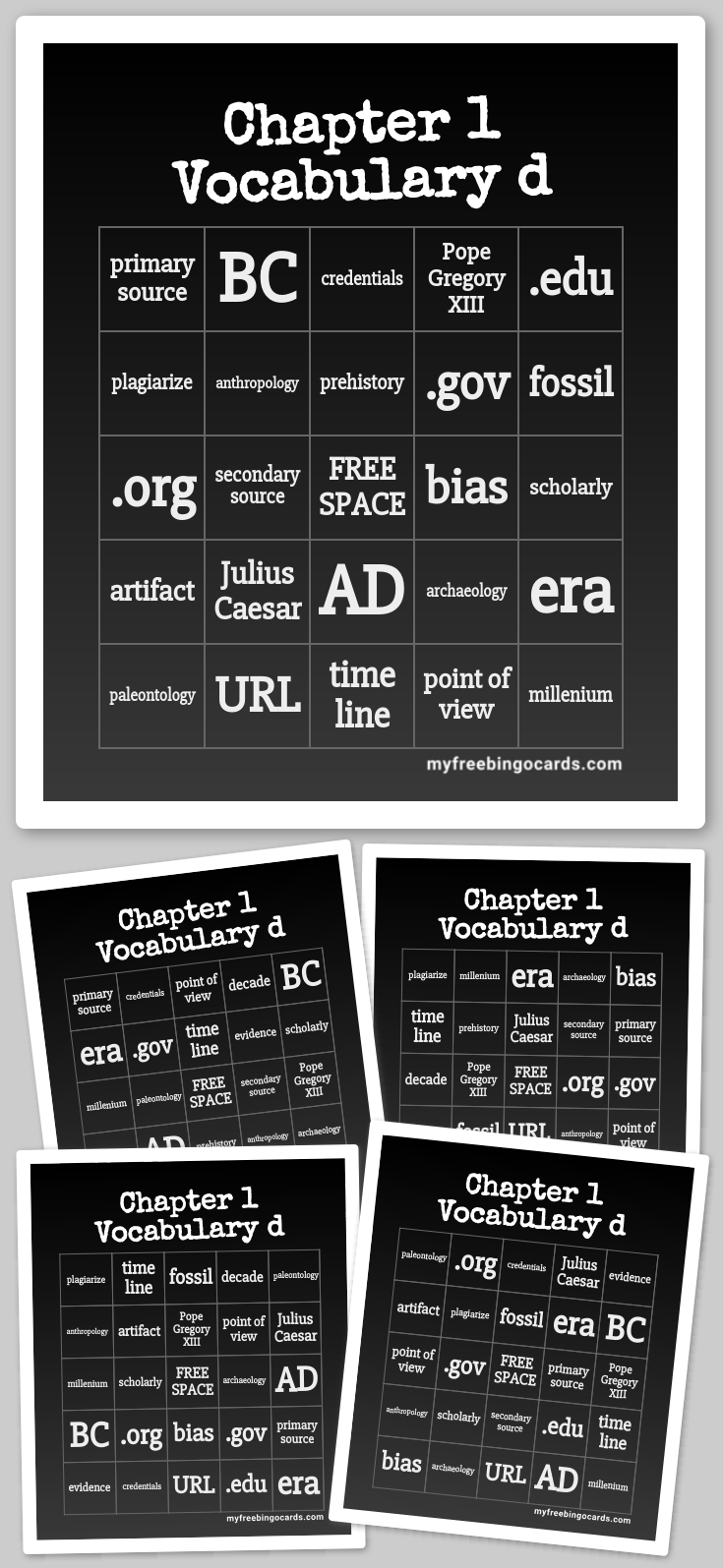 Virtual Chapter 1 Vocabulary d Bingo