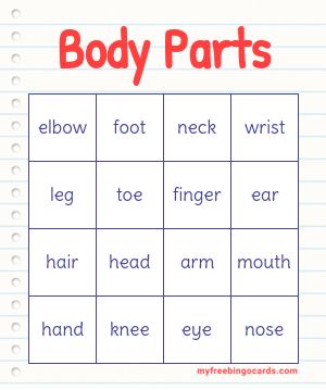 Body Parts Bingo