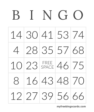 1-75 Number Bingo