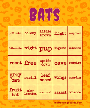 Edit bingo cards