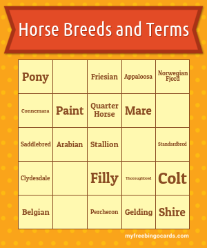 Horse Breeds and Terms Bingo