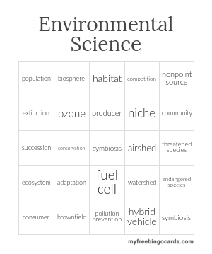 Edit bingo cards