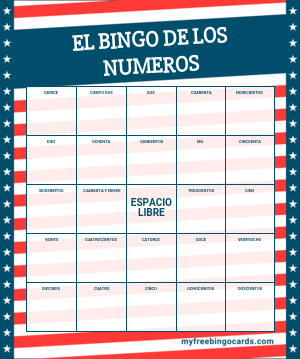 NUMEROS GRANDES Bingo Card