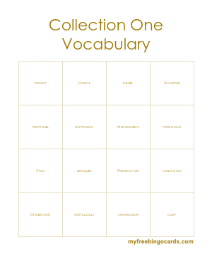 Collection One Vocabulary Bingo