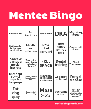 Mentee Bingo