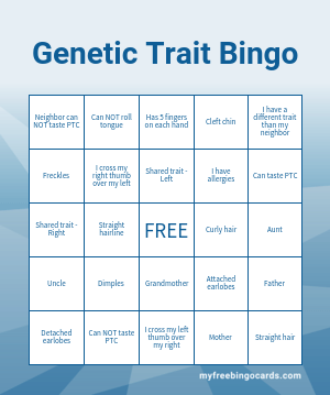 Edit bingo cards