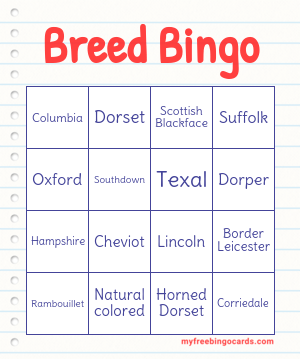 Edit bingo cards