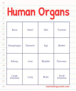 Edit bingo cards