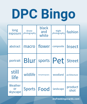 Edit bingo cards