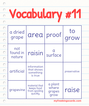 Vocabulary #11 Bingo