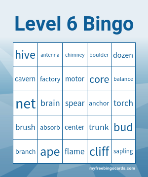 Level 6 Bingo