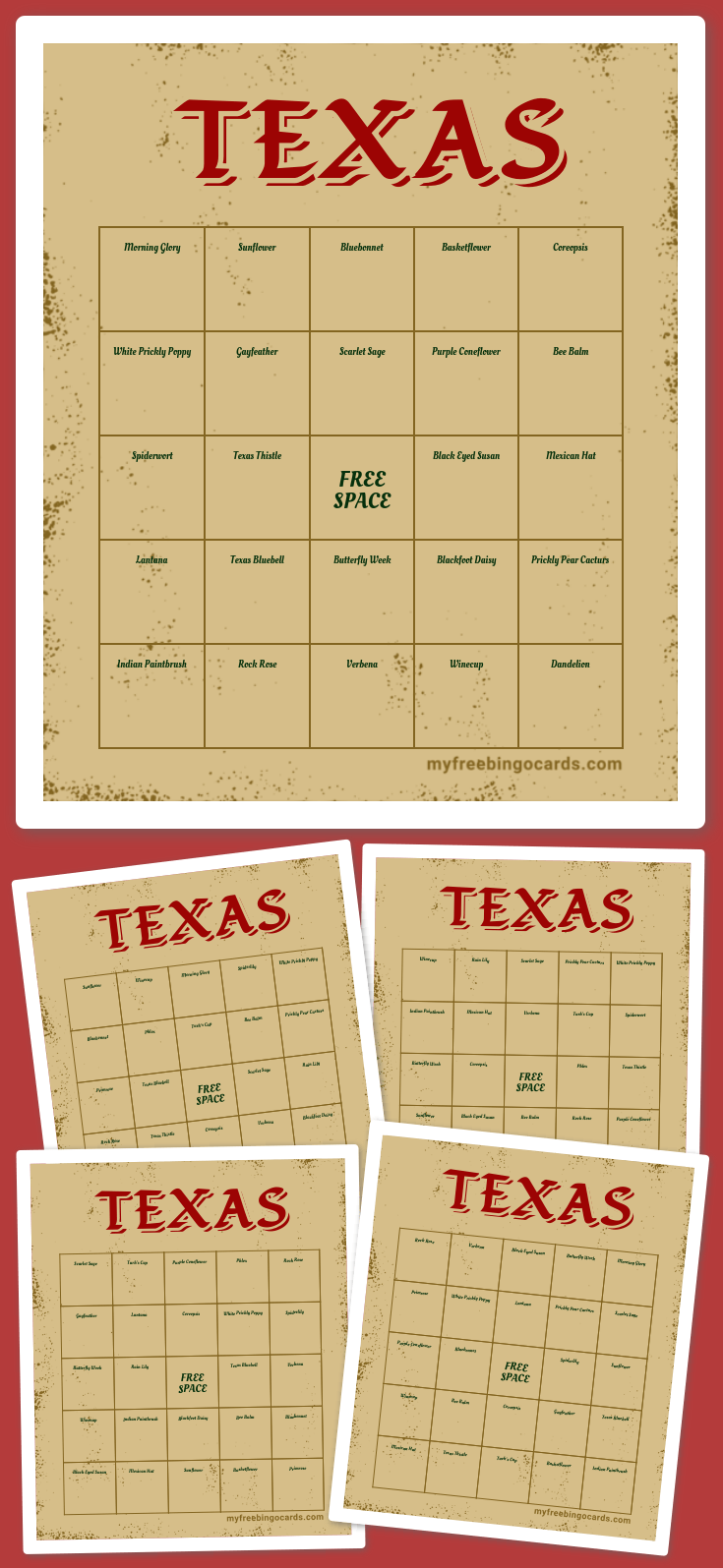 Virtual TEXAS BINGO