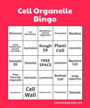 Edit bingo cards