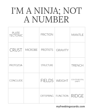 PRINT 100+ I'M A NINJA; NOT A NUMBER BINGO CARDS