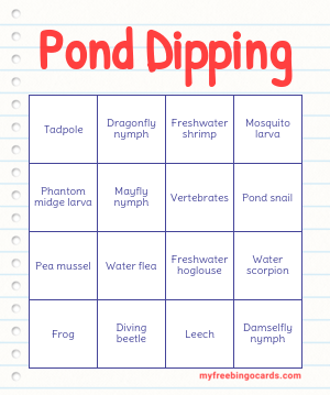 Edit bingo cards