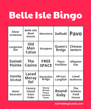 Edit bingo cards