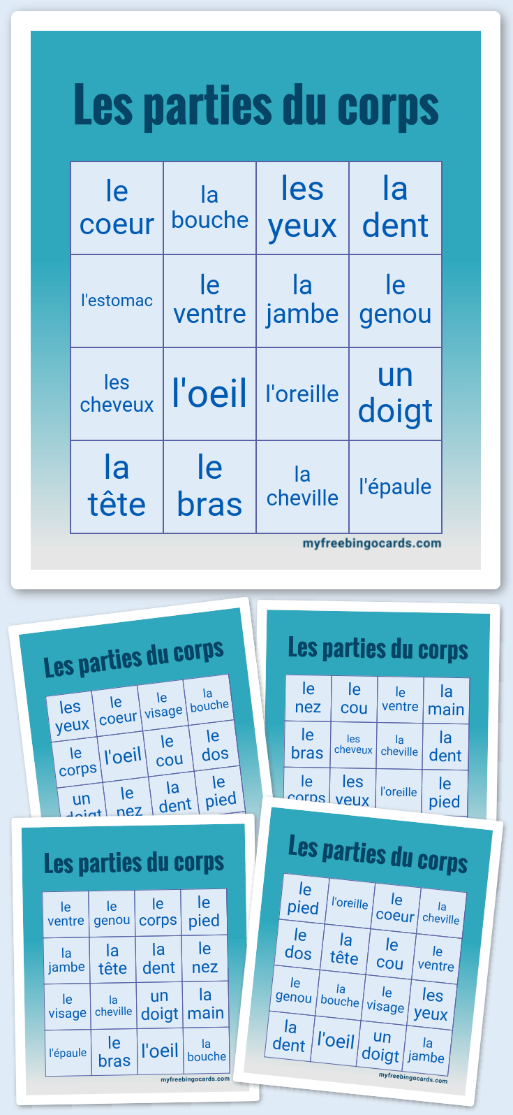 Virtual Les parties du corps Bingo