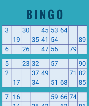 1-90 Number Bingo