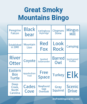 Edit bingo cards