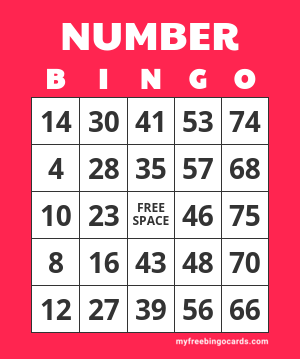 numbers bingo