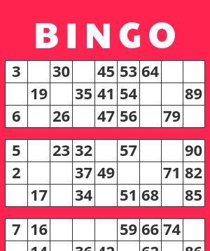 Bingo Tickets 90