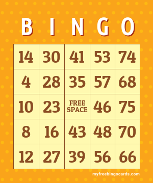 1-75 Number Bingo