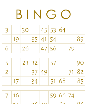 1-90 Number Bingo