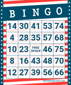 1-75 Number Bingo