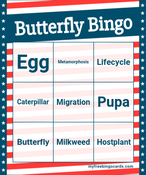 Edit bingo cards