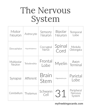 Edit bingo cards