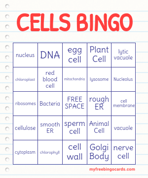 Edit bingo cards