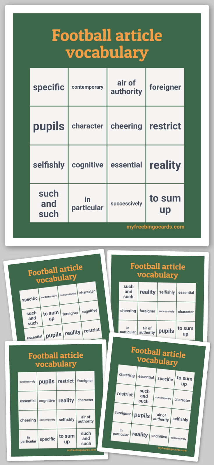 Virtual Football article vocabulary Bingo